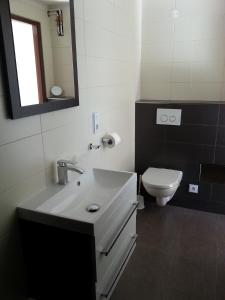 a bathroom with a white sink and a toilet at Apartment Adéla in Hluboká nad Vltavou