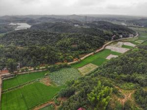 an aerial view of a field with trees and a road at Youbao House in Xiangtan