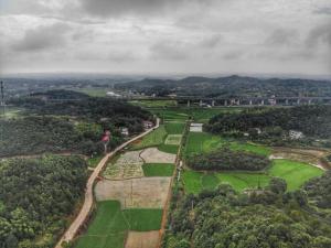 an aerial view of a park with trees and grass at Youbao House in Xiangtan