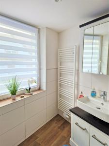 y baño con lavabo y espejo. en charmantes Landhaus "Wildrose", kurz vor Halle, 4 Schlafzimmer, en Petersberg