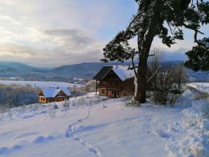 ein Haus auf einem schneebedeckten Hügel in der Unterkunft WidziMiSie in Wetlina