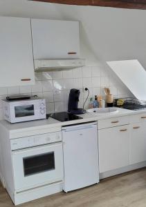 a kitchen with white appliances and a cat sitting on the counter at Studio lumineux proche du centre-ville in Étaples