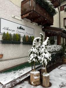 ピンツォーロにあるAlbergo Garnì Caventoの雪に覆われた木々が目の前に広がる店舗