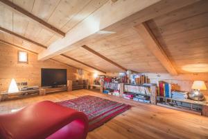 salon z kanapą i telewizorem z płaskim ekranem w obiekcie L'écrin des Bossons w Chamonix-Mont-Blanc