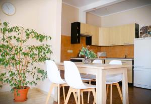 Kuchyňa alebo kuchynka v ubytovaní Apartament w Kamienicy na Kłodzkiej