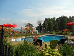 a swimming pool with chairs and umbrellas and flowers at Chalets Plage St-Jean 2 in Saint-Jean