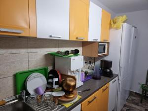 a kitchen with a sink and a counter top at Camera Junior 5 persoane Paulownia Garden in Cristian