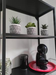 a shelf with potted plants on top of it at L'évasion du Coquelicot in Albert