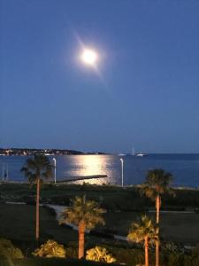 una luna piena sull'oceano con palme di Vue Mer Juan les Pins a Antibes