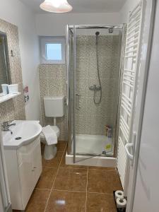 a bathroom with a shower and a toilet and a sink at White&Red Apartments in Timişoara