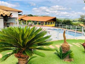 um resort com uma palmeira e uma piscina em Pousada Pé da Serra em Capitólio