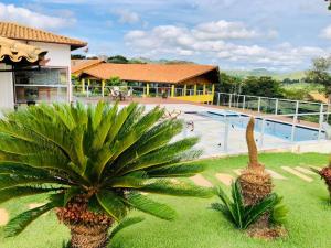 a resort with a palm tree and a swimming pool at Pousada Pé da Serra in Capitólio