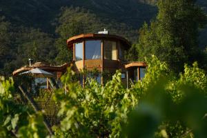 un edificio sentado en medio de un bosque en Swiss Eco Lodge La Linda Loma - Olmué, en Olmué