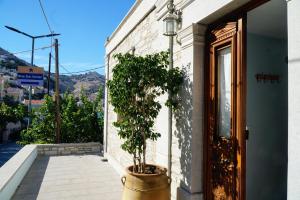 a tree in a pot on the side of a building at Petalo House in Symi