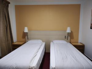Postel nebo postele na pokoji v ubytování Hotel Evergreen