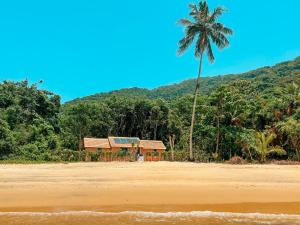 a palm tree and a house on the beach at Refugio Ilha Grande in Angra dos Reis