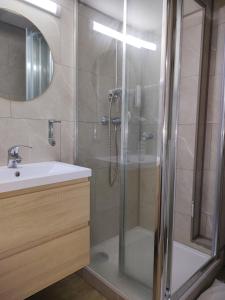 a bathroom with a shower and a sink at Hotel Evergreen in Brussels