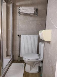 Koupelna v ubytování Hotel Evergreen