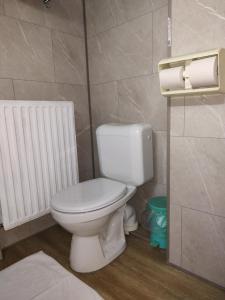 Koupelna v ubytování Hotel Evergreen