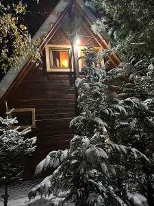 eine Hütte im Schnee mit einem Weihnachtsbaum in der Unterkunft Villa Albani in Peja