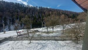 Vila Lane v zimě