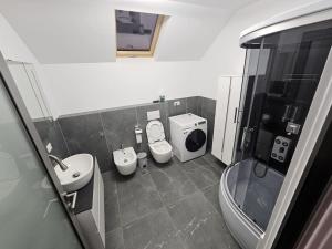 bagno con 2 servizi igienici, lavandino e doccia di Comfy & Cozy Apartament 2 a Rădăuţi
