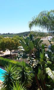 een uitzicht op een resort met bomen en een zwembad bij Casa Eleonora b&b in Lagos