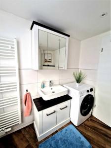 uma casa de banho com um lavatório e uma máquina de lavar roupa em charmantes Landhaus "Wildrose", kurz vor Halle, 4 Schlafzimmer em Petersberg