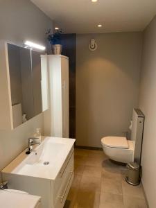 une salle de bain avec un lavabo, des toilettes et un miroir dans l'établissement Fin leilighet i Tromsø, à Tromsø 2 autres photos