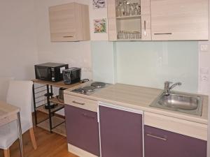 uma pequena cozinha com um lavatório e um micro-ondas em Apartment Muehlbach by Interhome em Fliess