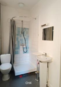een badkamer met een douche, een toilet en een wastafel bij HOTEL LE FONTENOY in Provins