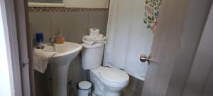 La petite salle de bains est pourvue de toilettes et d'un lavabo. dans l'établissement Hostal Los Peñones, à San Alfonso