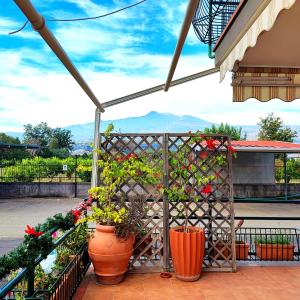 une terrasse ornée de fleurs en pots et d'une clôture dans l'établissement Sea Garden, fronte mare con piscina, à Mascali