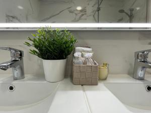 une salle de bains avec deux lavabos et une plante en pot dans l'établissement Villa Dona Rosa - Viana do Castelo, à Viana do Castelo 30 autres photos