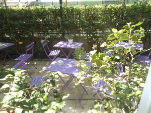 Zahrada ubytování Hotel Stipino