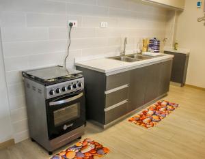 a kitchen with a stove and a sink at LUXURY C44 in Nairobi