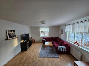 a living room with a red couch and a tv at Romme stugby in Borlänge