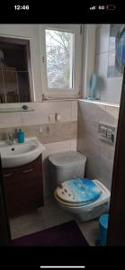 a bathroom with a toilet and a sink and a window at Przytulny 