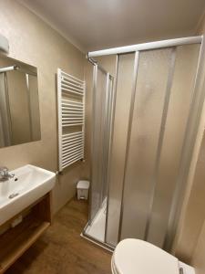 ポッツァ・ディ・ファッサにあるCasa Lasteiのバスルーム(シャワー、トイレ、シンク付)