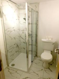 Un baño con inodoro y ducha de cristal. en Fabulous 2 bed apt 10 mins from City Centre, en Glasgow
