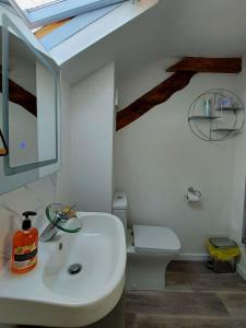a bathroom with a sink and a toilet with a skylight at Cae Tudur Remote Rural Cottage near Barmouth in Barmouth +38 photos