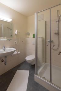 a bathroom with a shower and a toilet and a sink at Das kleine Amtshotel 