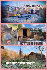 eine Collage mit Fotos von einem Schwein und einem winzigen Haus in der Unterkunft Bed & Wellness Klein Knorrestein with 2 romantic sustainable tiny house, use private hottub, sauna, tandembike included in price, just 30 minutes from Amsterdam in Almere