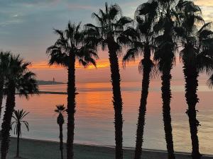un groupe de palmiers sur une plage au coucher du soleil dans l'établissement Apartamento a 2 minutos de la playa, à Malaga