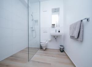 a bathroom with a shower and a toilet and a sink at Main Boardinghouse in Erlenbach am Main +51 photos