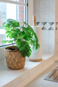 Ảnh trong thư viện ảnh của Villanelle - Spa & Meer ở Büsum