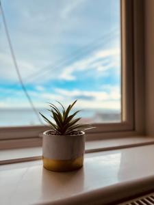 a potted plant sitting on a window sill at Two Bedroom Flat with Sea Views! in Fife