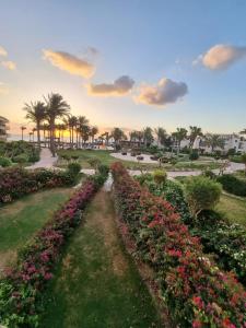 艾因苏赫纳شاليه لاجونا باي السخنه Chalet at laguna bay Sokhna的种满鲜花和棕榈树的公园和日落