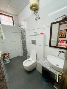 een badkamer met een toilet, een wastafel en een spiegel bij Krishna kottage A Boutique Home Stay in Udaipur
