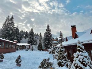 a snow covered yard with a house and trees at Chalet Filvarok in Slavske